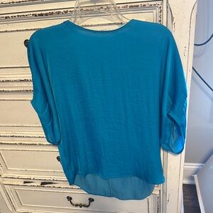 Naked Zebra Teal Blouse